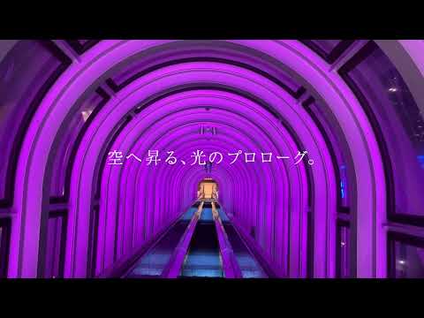 2026年4月1日 空中エスカレーター