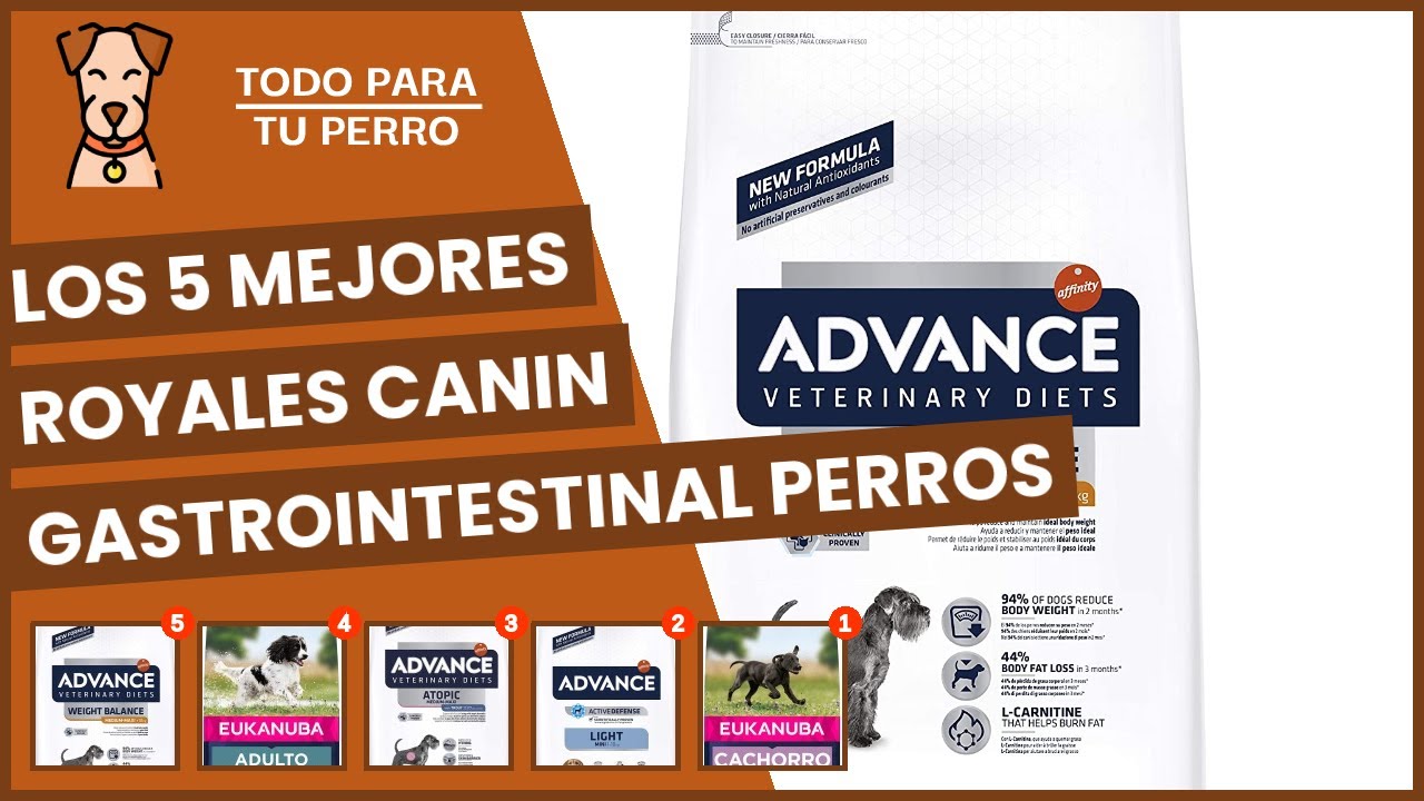 Los 5 mejores royales canin gastrointestinal perros
