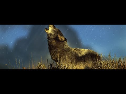LA MISMA VOZ 🐺 - VOL 𝐼𝐼 / Prod Capricornio Stu