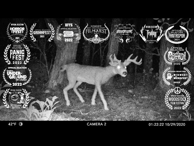 Posted No Hunting | Award-Winning Stop Motion Animated Found Footage Horror Short | Oddframe Films