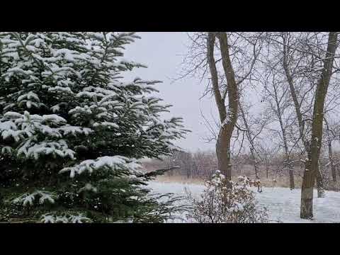 10-17-2020 Becker County, MN First snow fall peaceful landscape.