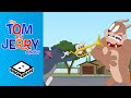 Tom Jerry Start A Band Tom Jerry Show Boomerang UK