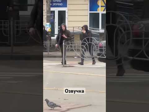 Куди це вони?😂 #like