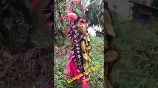 Download lagu Pembarong cantik#barongan #tiktok #reog #short mp3