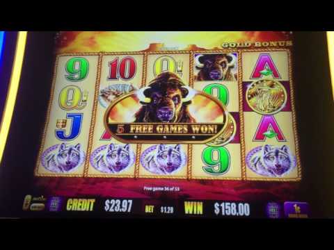 Buffalo Gold Las Vegas Hard Rock 75 free spins slot machine bonus round!