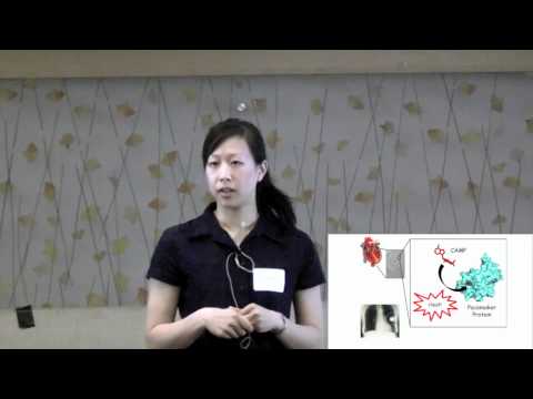 Three Minute Thesis (3MT) - Finalist Sarah Chow