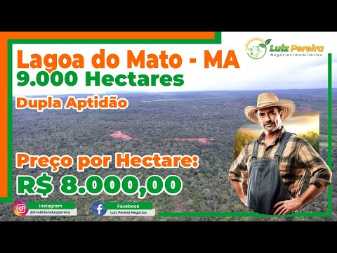 Fazenda em Lagoa do Mato MA 9 000 Hec , D aptidão, excelente p agricultura, vegetação nativa,