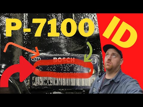 WHICH P7100 PUMP DO I HAVE ????????????????????????