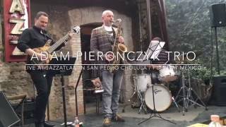 Adam Pieronczyk Trio / live in Mexico
