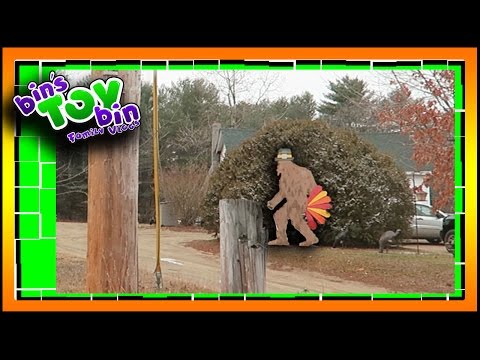 HAPPY THANKSGIVING 2016!!! 11.24.2016 | Bins Toy Bin Daily Vlogs