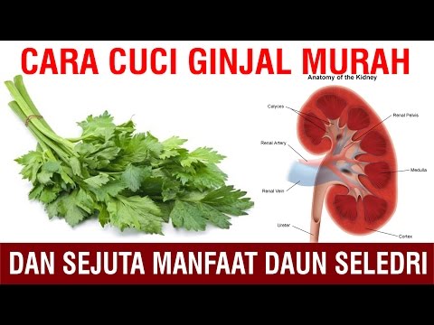 Harga patogen kuda di Tomsk BDAAA dan potensi