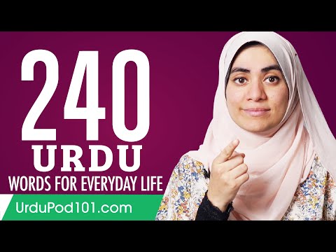 240 Urdu Words for Everyday Life - Basic Vocabulary #12