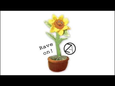 Zauberakustik - Rave on! (feat. Blumentopf)