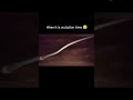 It S Ovulation Time Witness The Incredible Journey Of Sperm Racing To Meet The Egg Ovulation