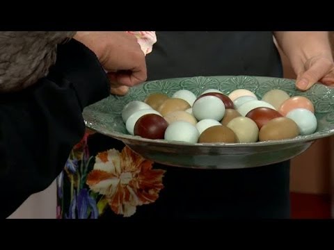 , title : 'Strunta i äggmålningen i påsk - här är hönorna som lägger turkosa och gröna ägg - Nyhetsmorgon (TV4)'