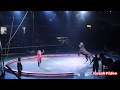 Horses Act Circus