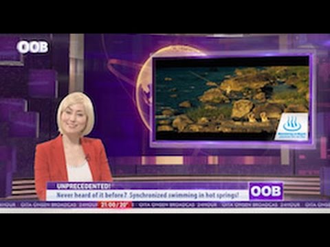 Onsenken Oita Broadcast“OOB”News（Western Version）