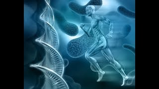 Sistema Glicolítico: glicólise anaeróbia
