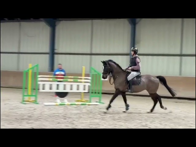 Cheval &agrave; vendre 