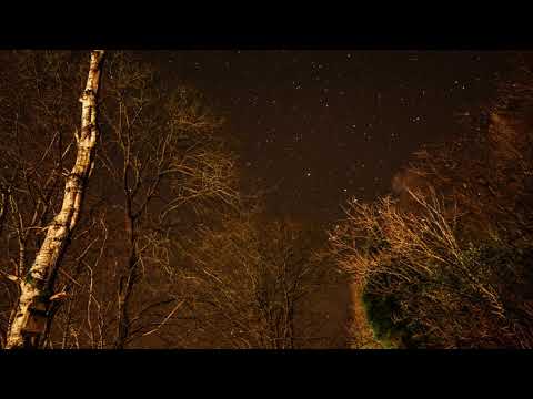 COLD HART FT. JPDREAMTHUG - I DON'T BELONG ON THIS EARTH (PROD. JOHN MELLO & TUNDRA2K)