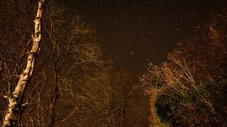 COLD HART FT. JPDREAMTHUG - I DON'T BELONG ON THIS EARTH (PROD. JOHN MELLO & TUNDRA2K)