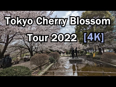 [4k] Tokyo Cherry Blossom Tour 2022! : Chidorigafuchi, Ueno Park, etc.