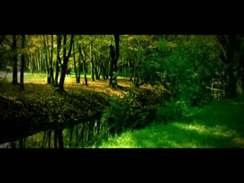 Sinan Kurtulus - This Love (Housefly Vol. 2)