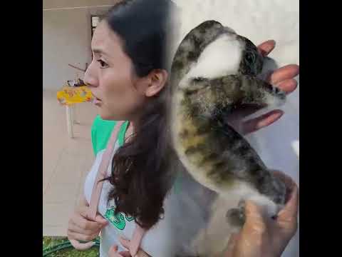 DEEJAME, DEJAMEE #humor