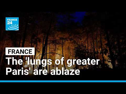 Blaze burns through 'lungs of greater Paris' Fontainebleau forest