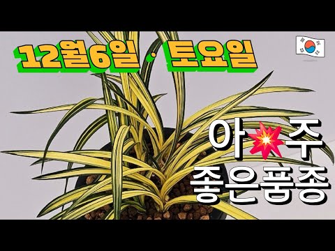 유튜브 썸네일