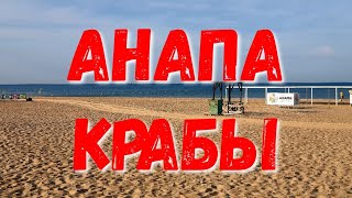 Ссылка