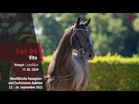 Online-Auktion Lot 06 Vito Hengst v. Vitalis - Florencio I