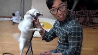 유튜브 썸네일