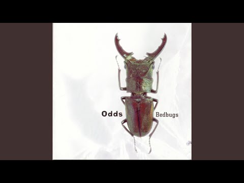 Car Crash Love - the Odds