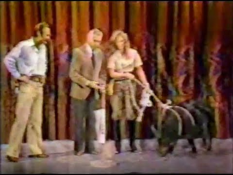 The Tonight Show - Johnny and Ed Debate the Intelligence of Horse vs. Pig   Nov, 1982