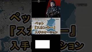【Crimson Desert 紅の砂漠】ペット 『スカンキー』 の入手方法について紹介 #紅の砂漠 #CrimsonDesert #紅の砂漠攻略 #アクションRPG