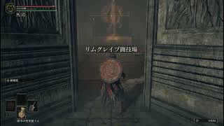 【配信アーカイブ】エルデンリングを最初からやるぞ！