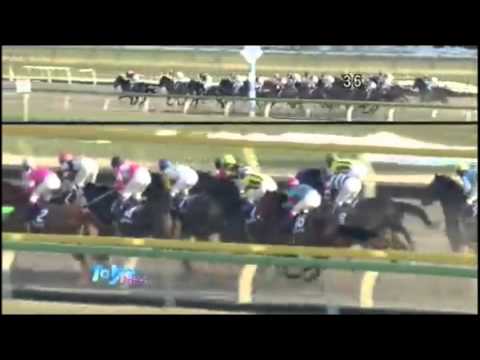 フェブラリーステークス2014