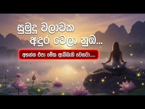 සුමුදු වලාවක අඳුර වෙලා නුඹ - Sumudu Walawaka | Chandana Liyanarachchi Cover | Sinhala Tune 🎵