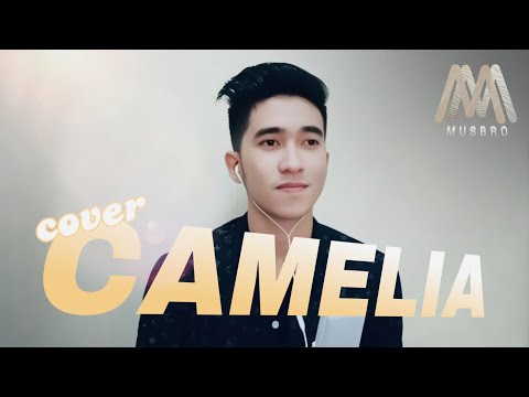 Rhoma Irama - CAMELIA (cover by MUSFIQ KDI)