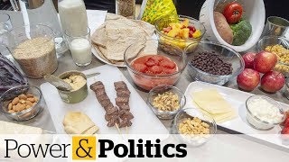 Scheer slams &#39;ideologically driven&#39; Canada Food Guide | Power &amp; Politics