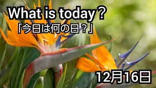 【What is today?】今日は何の日?(1216)|YouTube掲示板《ヒントストック》