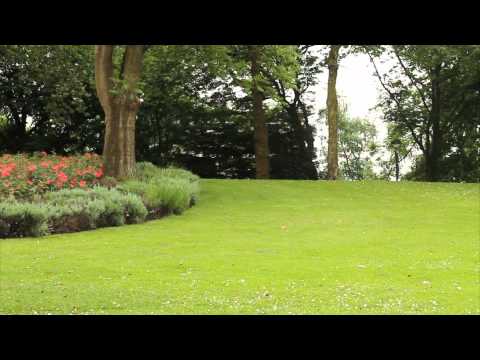 Super Dessty Hancock Effet