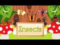Insect Song