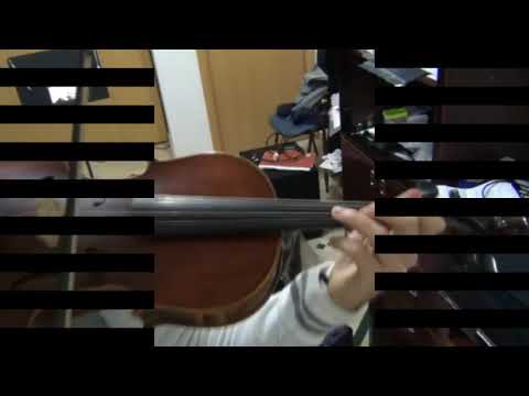 Dragon Quest VIII Medley -  One Man Band - Viola