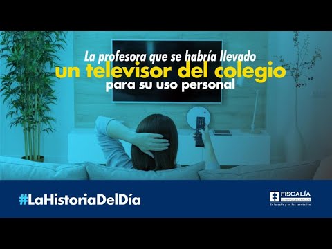 La profesora que se habría llevado un televisor del colegio para su uso personal