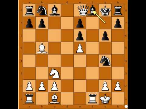 Sah - Obaranje Sicilijanskog zmaja - NEZHMETDINOV vs ERMOLIN # 574