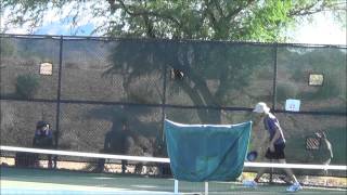 2014 Pickleball Nationals - Lane/Wong vs Hamner/Blom