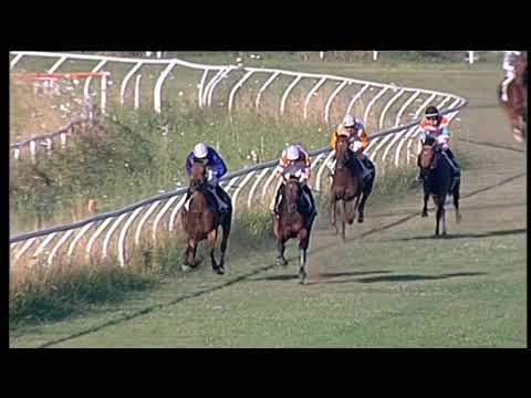 Galoppo 01/07/2020 - 3ª corsa