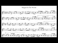 Tune of the Week 2: Maggie in the Woods (polka) - tin whistle play-along track